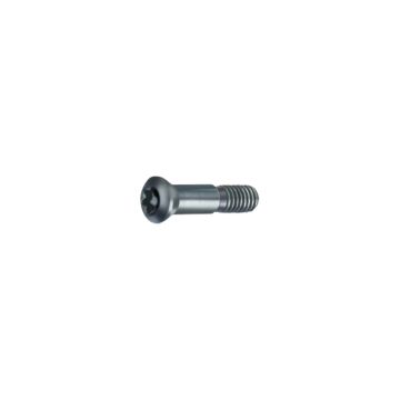 <table><tr><td>Śruby mocujące Torx-Plus</td></tr></table>